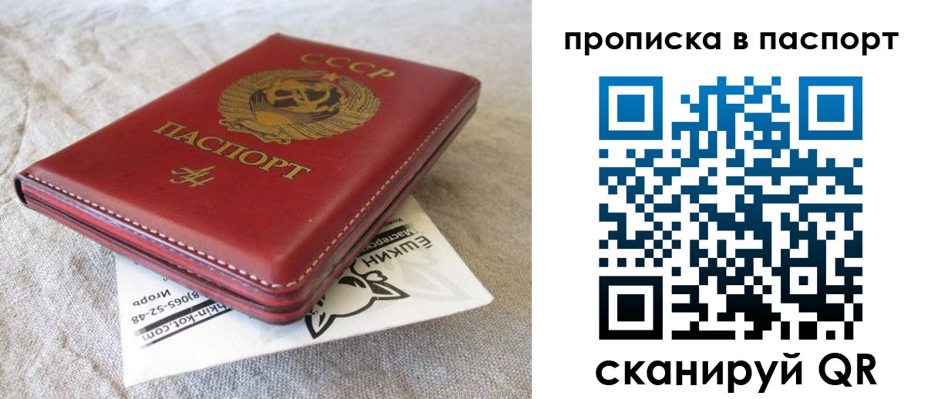 прописка штамп в Светогорске